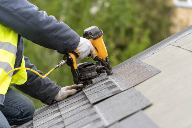 Best Roof Maintenance and Cleaning  in Licking, MO